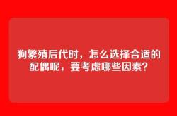 狗繁殖后代时，怎么选择合适的配偶呢，要考虑哪些因素？