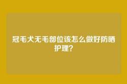 冠毛犬无毛部位该怎么做好防晒护理？