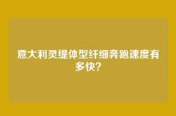 意大利灵缇体型纤细奔跑速度有多快？