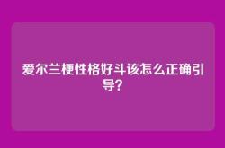 爱尔兰梗性格好斗该怎么正确引导？