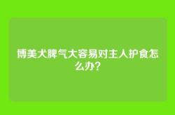 博美犬脾气大容易对主人护食怎么办？
