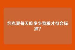 约克夏每天吃多少狗粮才符合标准？