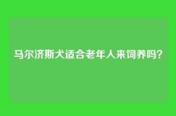 马尔济斯犬适合老年人来饲养吗？