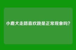 小鹿犬走路喜欢跳是正常现象吗？
