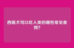 西施犬可以吃人类的哪些常见食物？