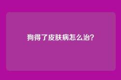 狗得了皮肤病怎么治？