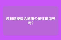 凯利蓝梗适合城市公寓环境饲养吗？