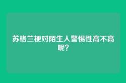 苏格兰梗对陌生人警惕性高不高呢？