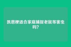凯恩梗适合家庭捕捉老鼠等害虫吗？