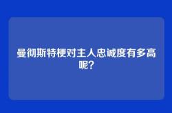 曼彻斯特梗对主人忠诚度有多高呢？