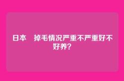 日本狆掉毛情况严重不严重好不好养？