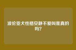 波伦亚犬性格安静不爱叫是真的吗？