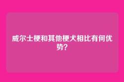 威尔士梗和其他梗犬相比有何优势？