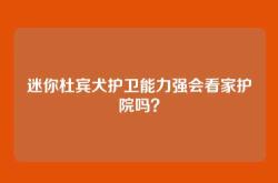迷你杜宾犬护卫能力强会看家护院吗？