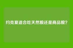 约克夏适合吃天然粮还是商品粮？