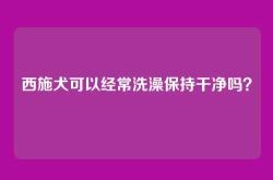 西施犬可以经常洗澡保持干净吗？