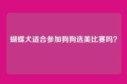 蝴蝶犬适合参加狗狗选美比赛吗？