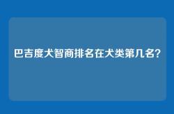 巴吉度犬智商排名在犬类第几名？