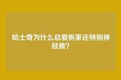 哈士奇为什么总爱拆家还特别神经质？