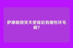 萨摩耶微笑天使背后有哪些坏毛病？