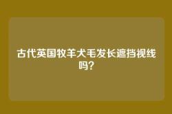 古代英国牧羊犬毛发长遮挡视线吗？