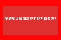 罗威纳犬智商高护卫能力有多强？