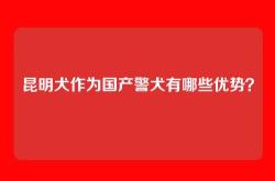 昆明犬作为国产警犬有哪些优势？