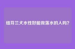 纽芬兰犬水性好能救落水的人吗？