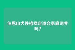 伯恩山犬性格稳定适合家庭饲养吗？