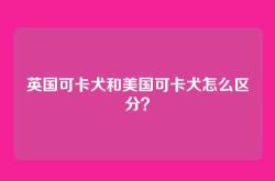 英国可卡犬和美国可卡犬怎么区分？