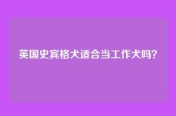 英国史宾格犬适合当工作犬吗？