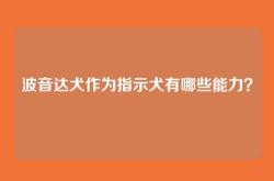 波音达犬作为指示犬有哪些能力？