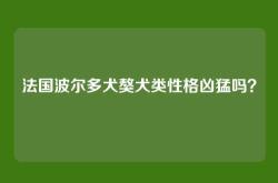 法国波尔多犬獒犬类性格凶猛吗？