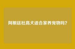 阿根廷杜高犬适合家养宠物吗？