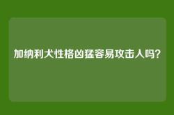 加纳利犬性格凶猛容易攻击人吗？