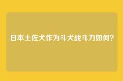 日本土佐犬作为斗犬战斗力如何？