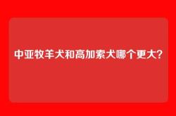 中亚牧羊犬和高加索犬哪个更大？