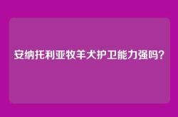 安纳托利亚牧羊犬护卫能力强吗？
