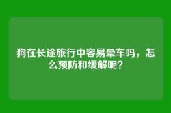 狗在长途旅行中容易晕车吗，怎么预防和缓解呢？