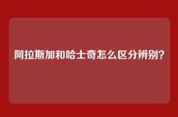 阿拉斯加和哈士奇怎么区分辨别？