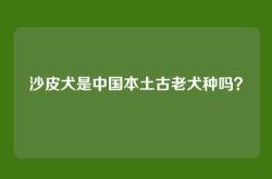 沙皮犬是中国本土古老犬种吗？