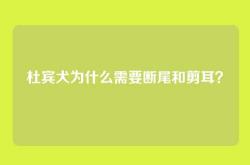 杜宾犬为什么需要断尾和剪耳？