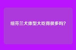 纽芬兰犬体型大吃得很多吗？