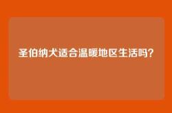 圣伯纳犬适合温暖地区生活吗？