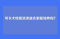 可卡犬性格活泼适合家庭饲养吗？