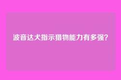 波音达犬指示猎物能力有多强？