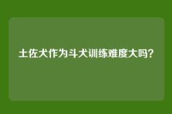 土佐犬作为斗犬训练难度大吗？