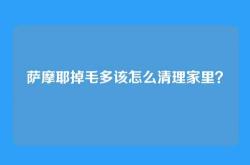 萨摩耶掉毛多该怎么清理家里？
