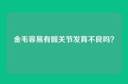金毛容易有髋关节发育不良吗？