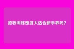 德牧训练难度大适合新手养吗？